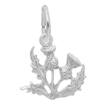 Rembrandt SS Thistle Charm