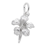 Rembrandt SS Hibiscus Flower Charm