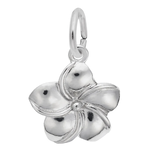 Rembrandt SS Plumeria Flower Charm