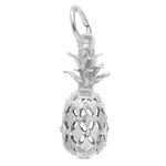 Rembrandt SS Pineapple Charm