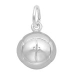Rembrandt SS 3D Volleyball Charm