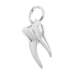 Rembrandt SS Tooth Charm