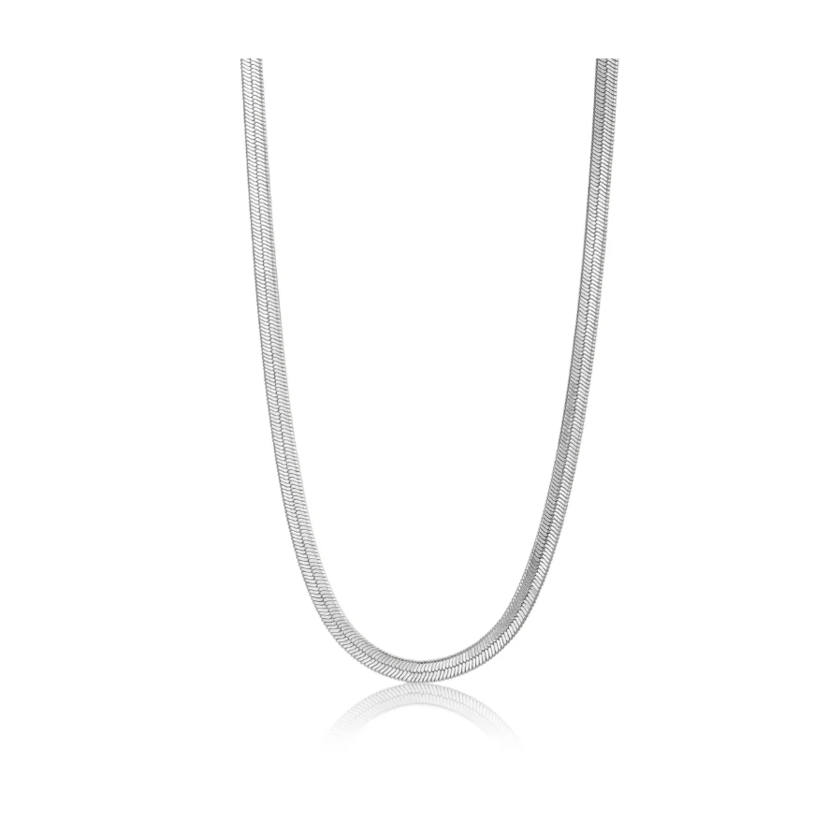 Ania Haie Flat Snake Chain Necklace