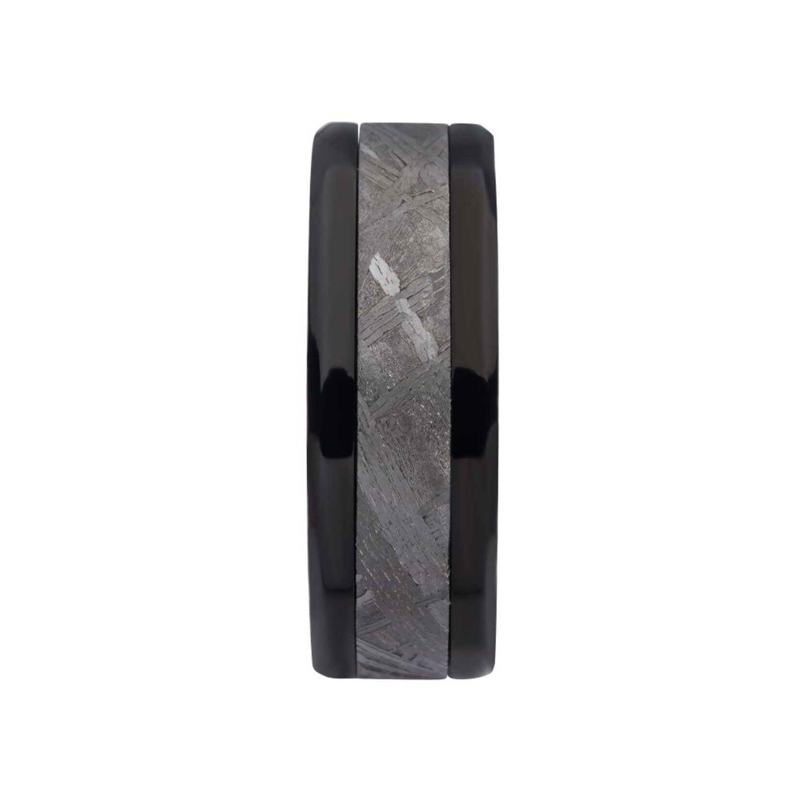 Inox Meteorite Inlay Black IP Ring