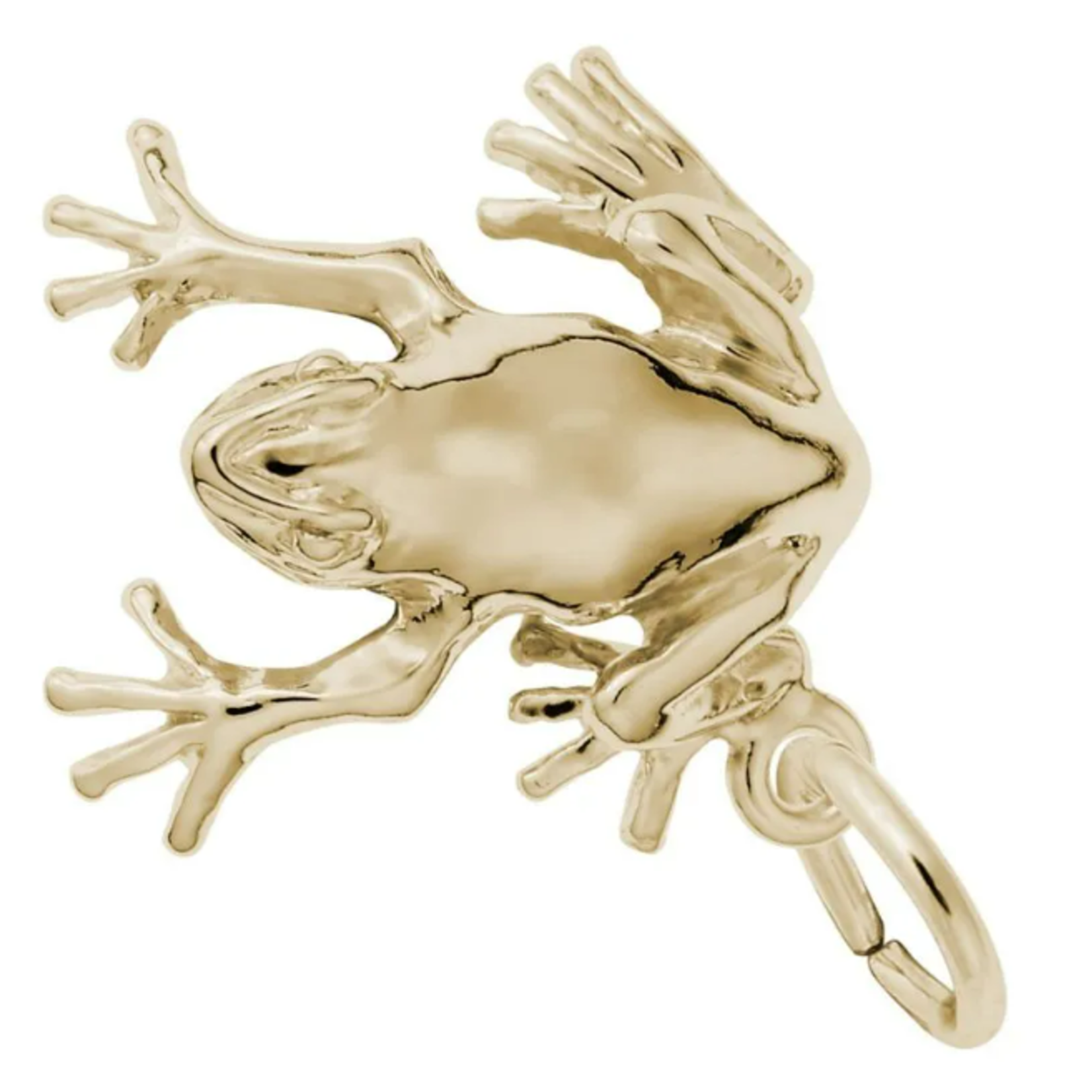 Rembrandt Gold Plated Tree Frog Charm