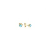 Alamea 14K YG Larimar Studs 5mm