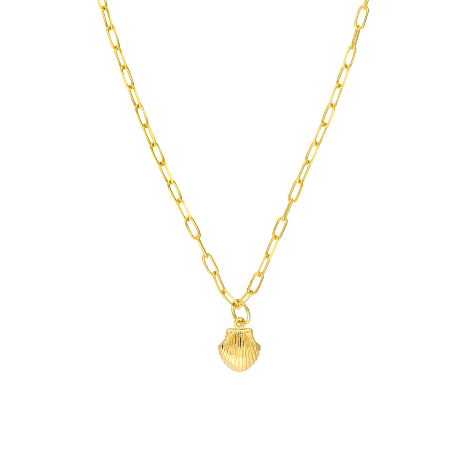 Midas 14K Yellow Gold Mini Seashell Pendant w/ Paperclip Chain 18"