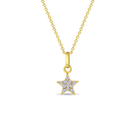 In Season 14k Gold Tiny CZ Encrusted Star Necklace