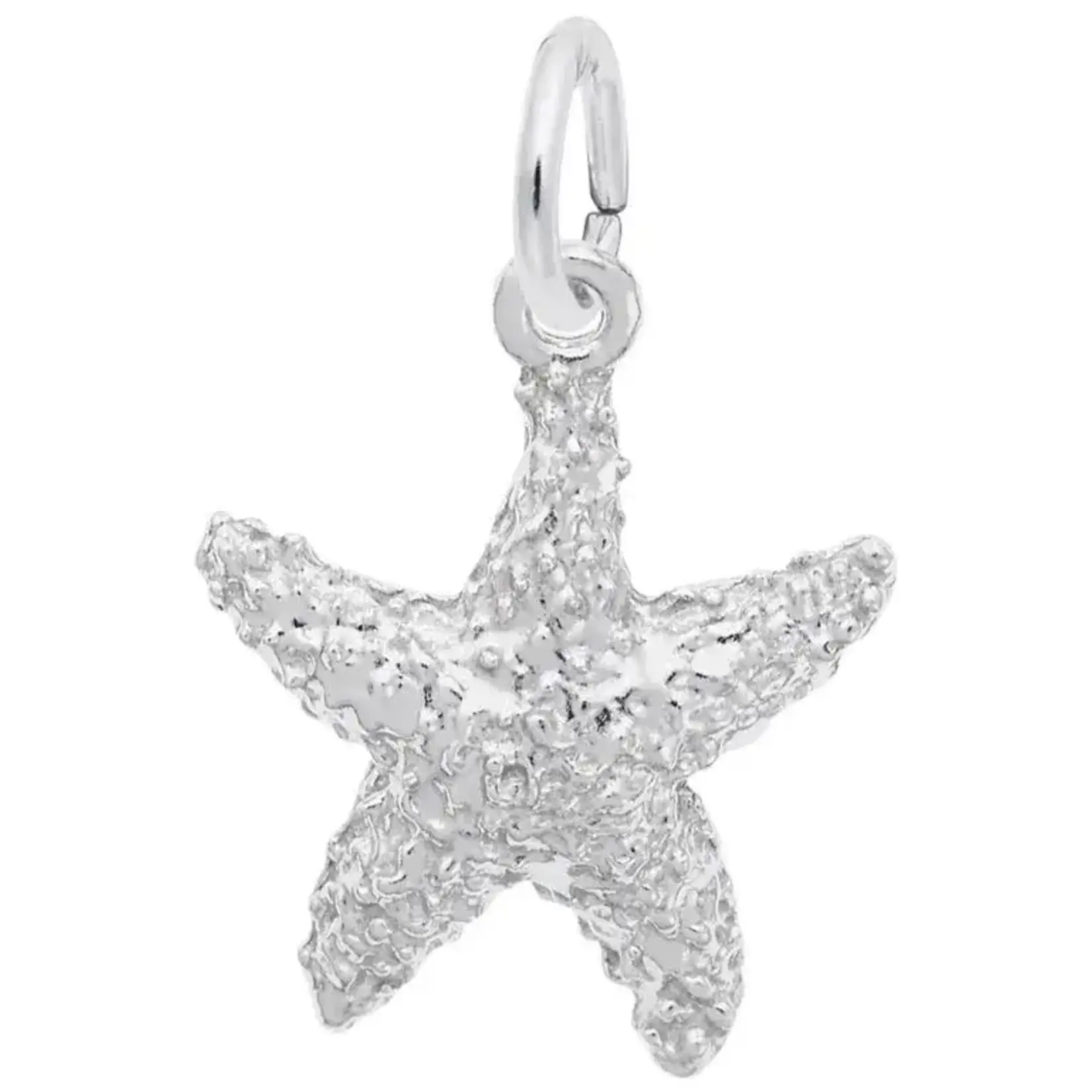 Rembrandt Gold Plated Lifelike Starfish Charm