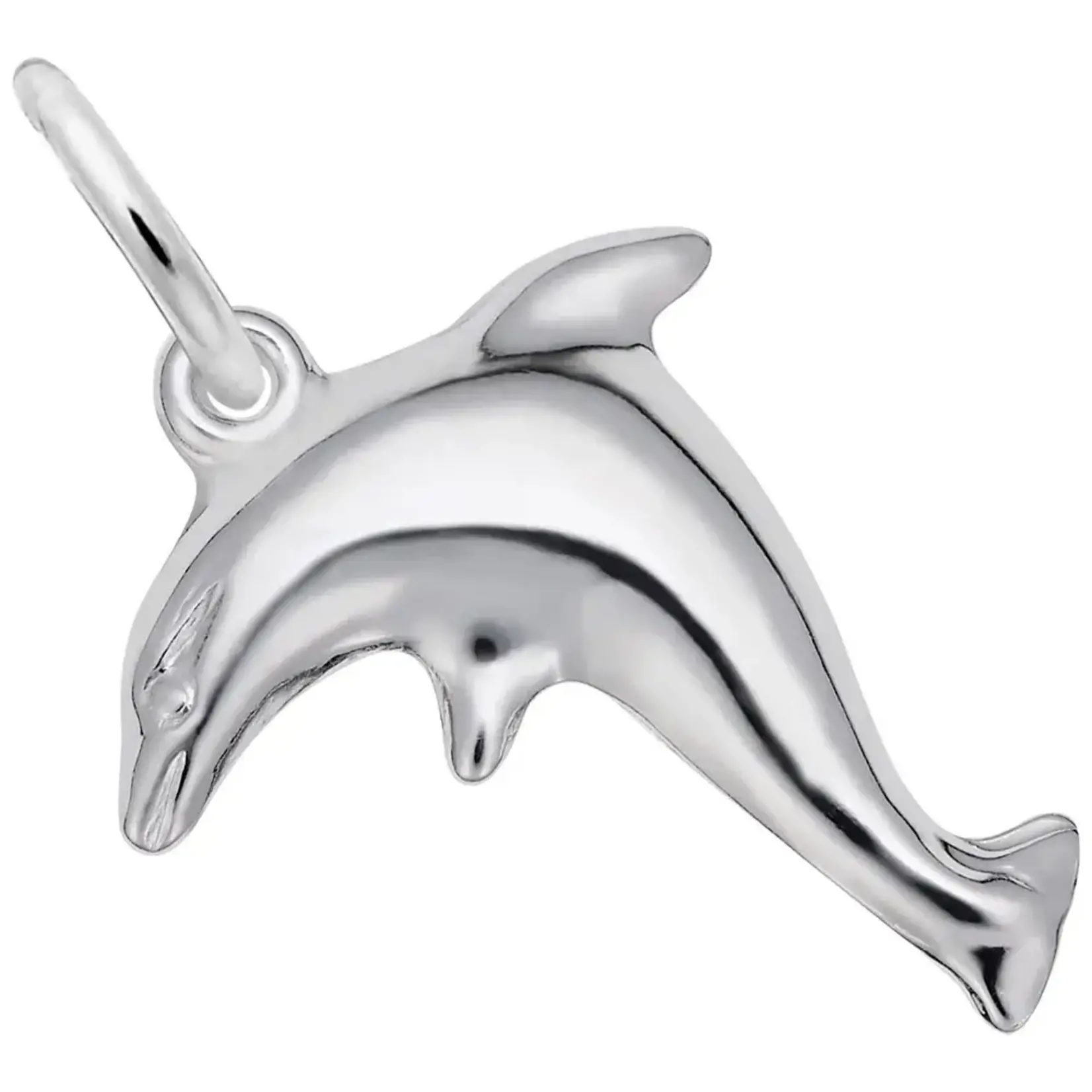 Rembrandt SS Dolphin Charm