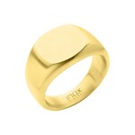 Inox 18Kt Gold IP Steel Signet Ring-9