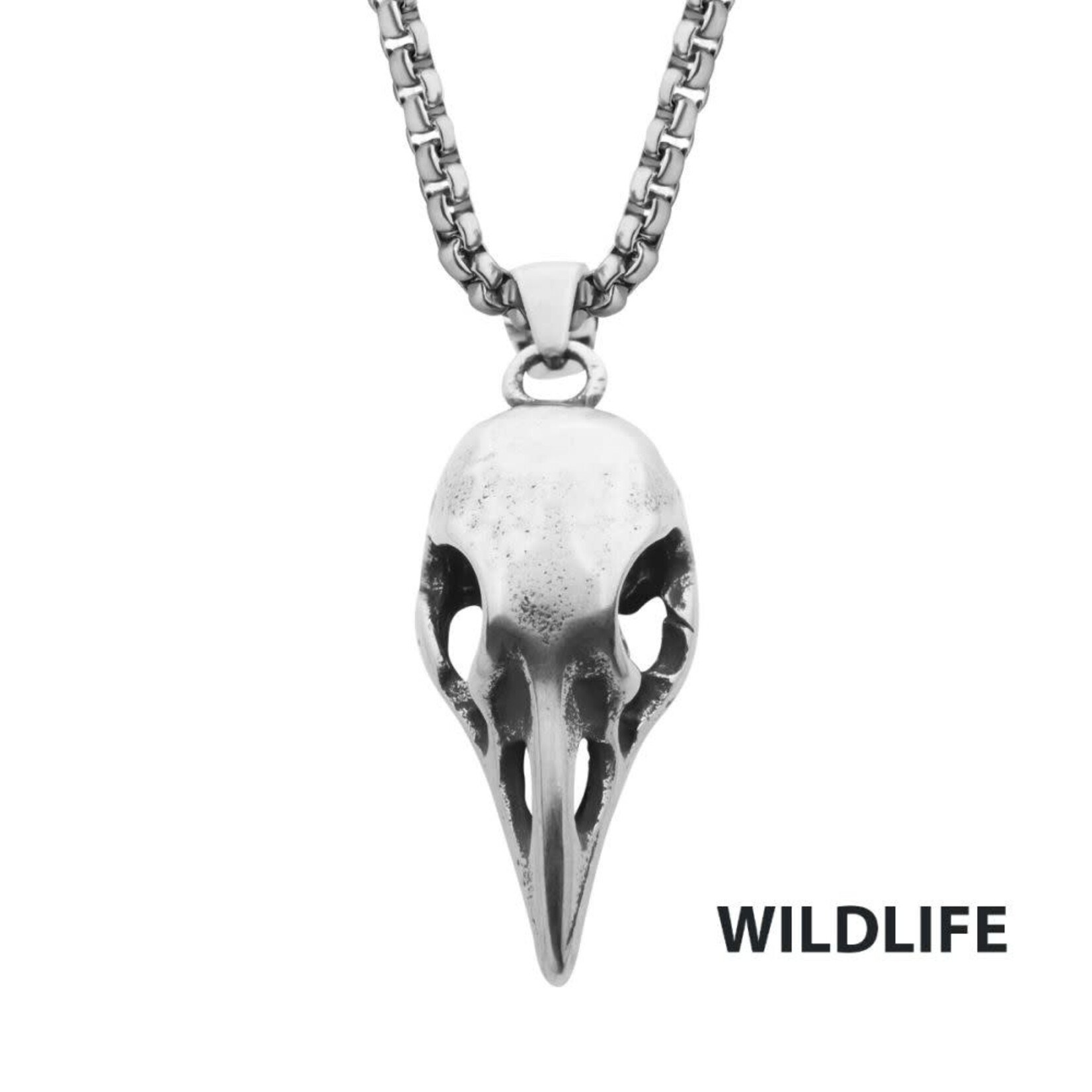 Inox Distressed Matte Steel Crow Skull Pendant with Chain
