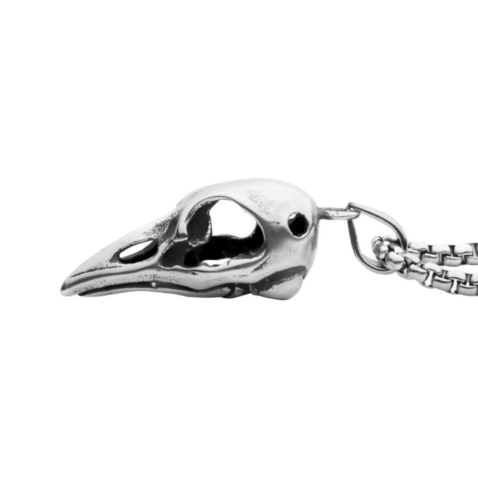 Inox Distressed Matte Steel Crow Skull Pendant with Chain