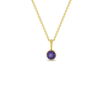 In Season 14k Gold Feb. Amethyst CZ Birthstone Necklace