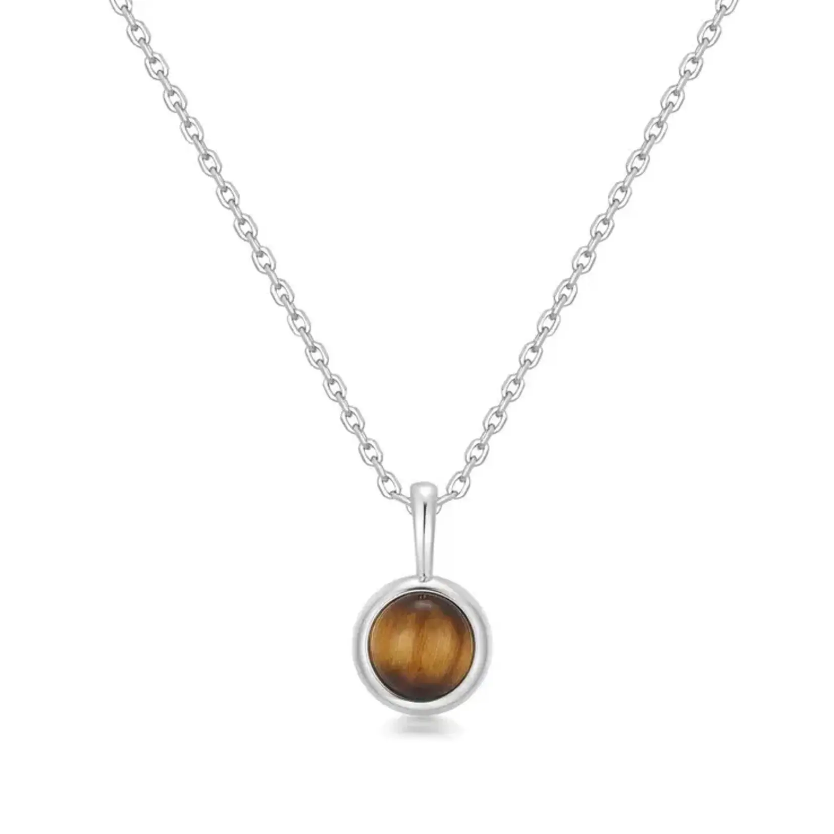 Ania Haie Silver Tiger Eye Pendant Necklace