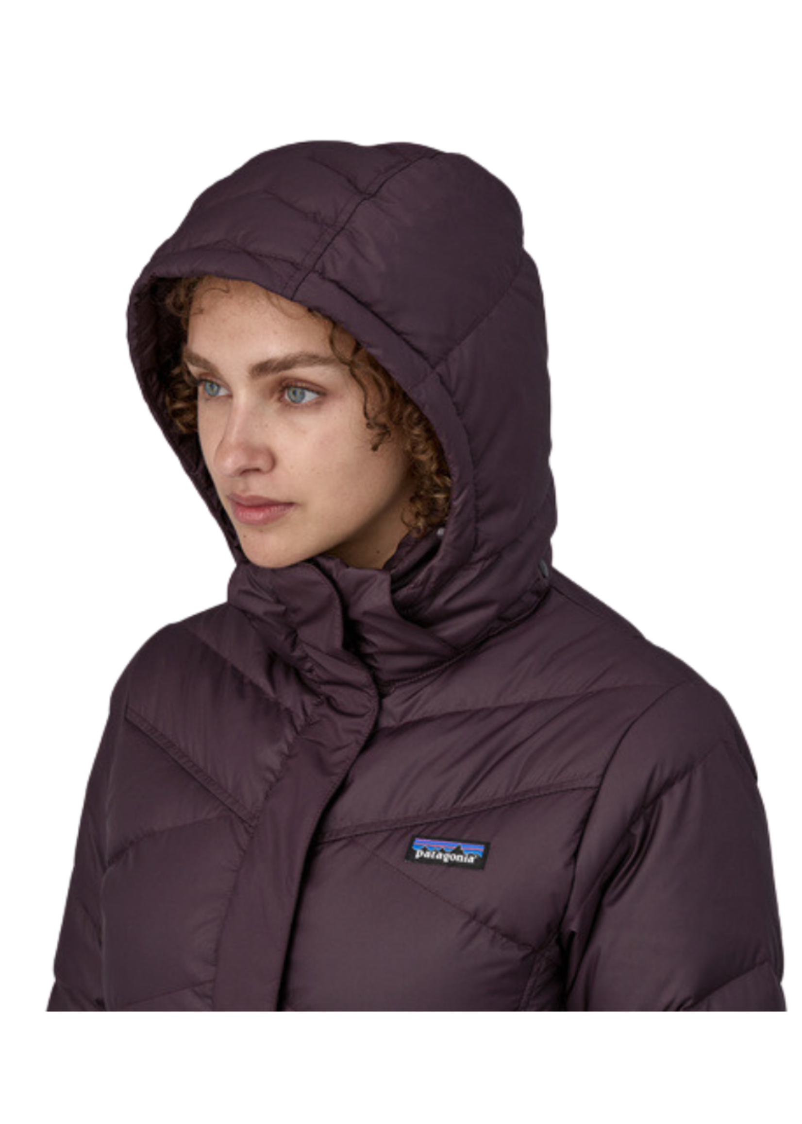 Patagonia Patagonia - W - Down With It Parka