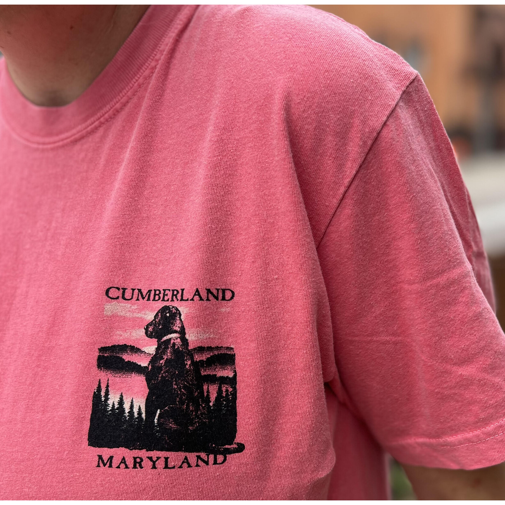 High Range/Laid Back Cumberland, MD - S/S Tee - Dog - Mountains