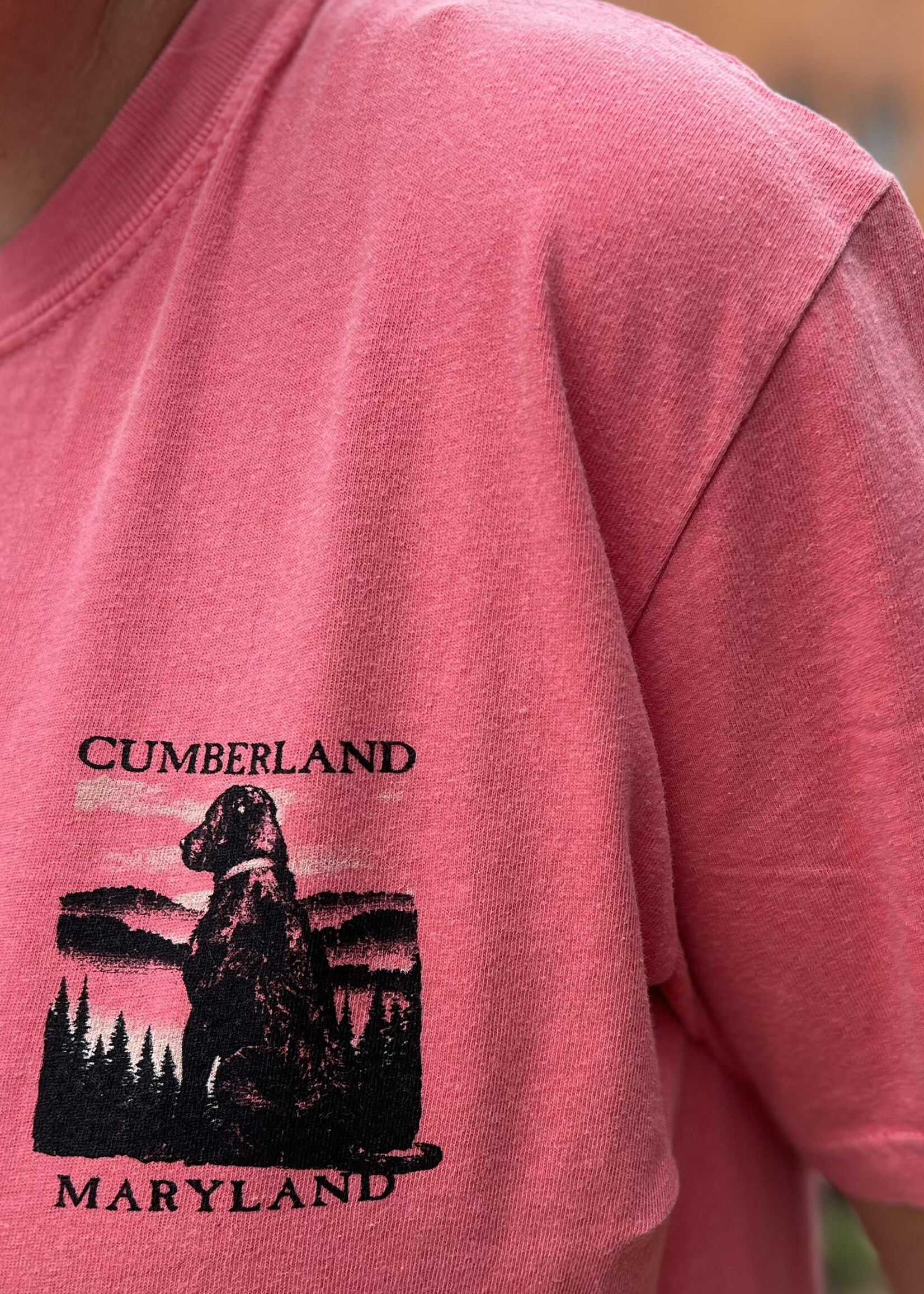 Laid Back Cumberland, MD - S/S Tee - Dog - Mountains
