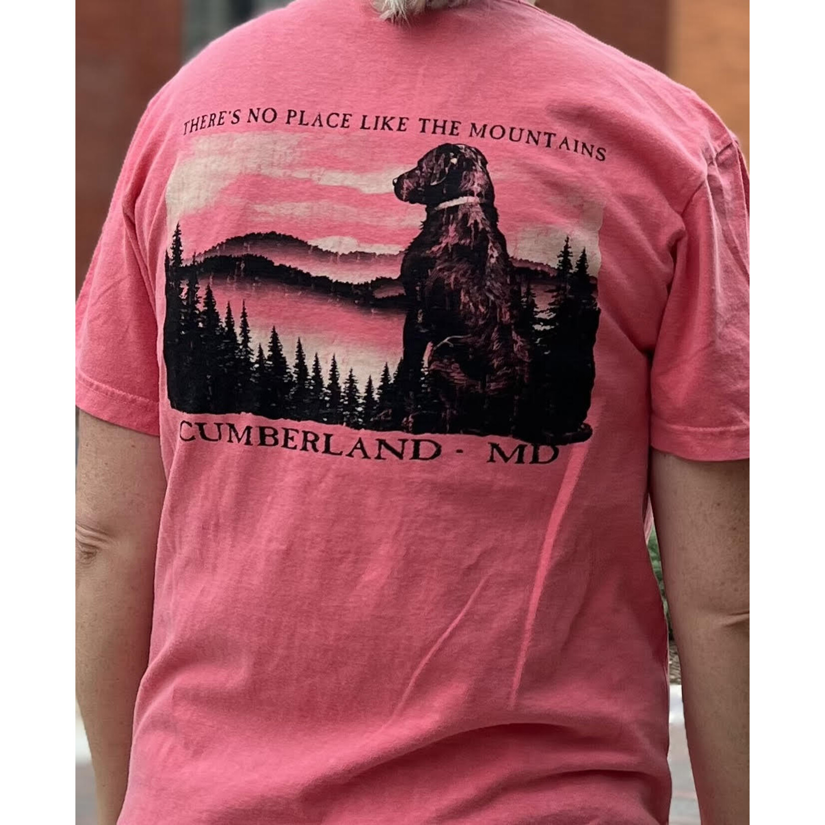 High Range/Laid Back Cumberland, MD - S/S Tee - Dog - Mountains