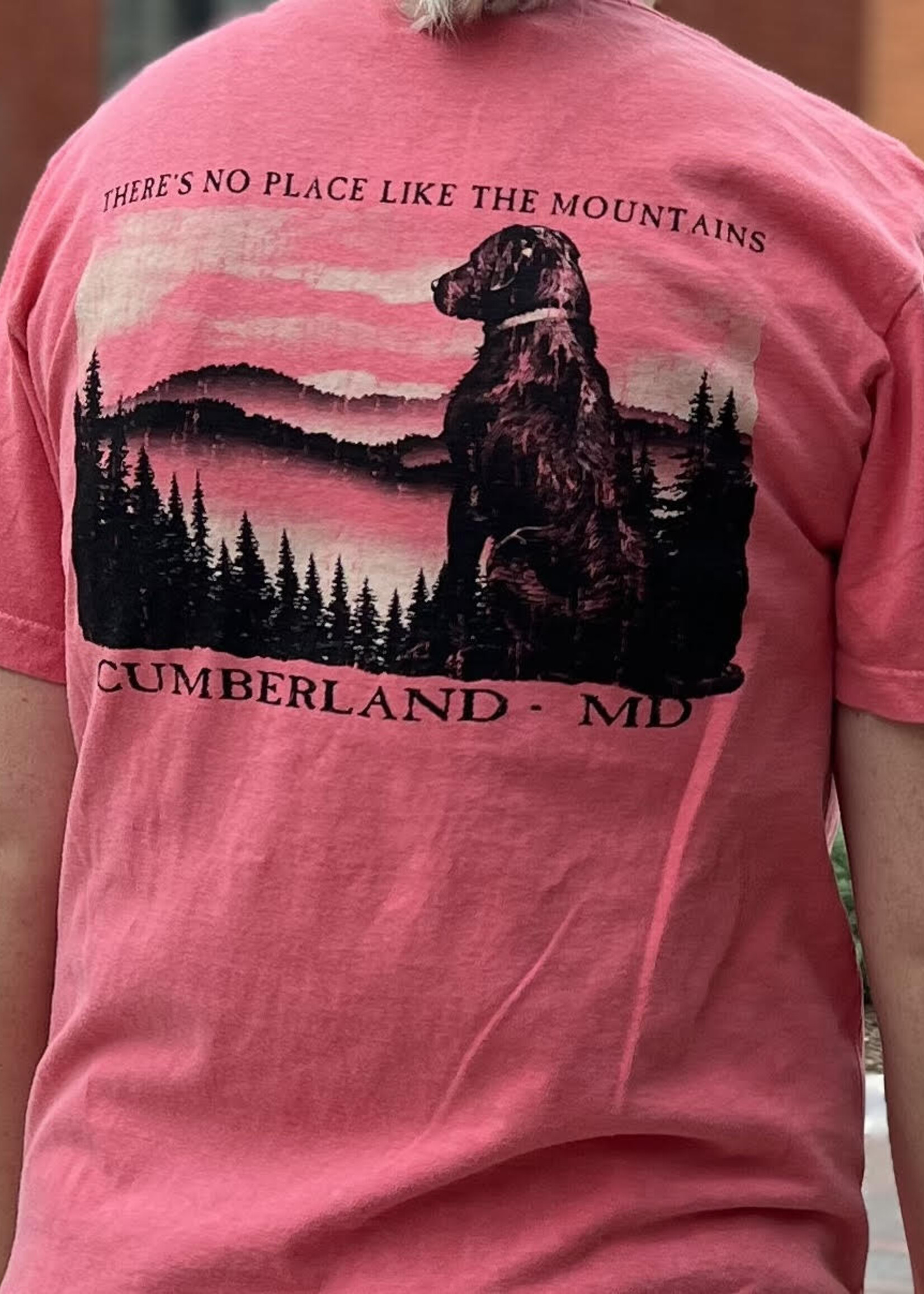 Laid Back Cumberland, MD - S/S Tee - Dog - Mountains