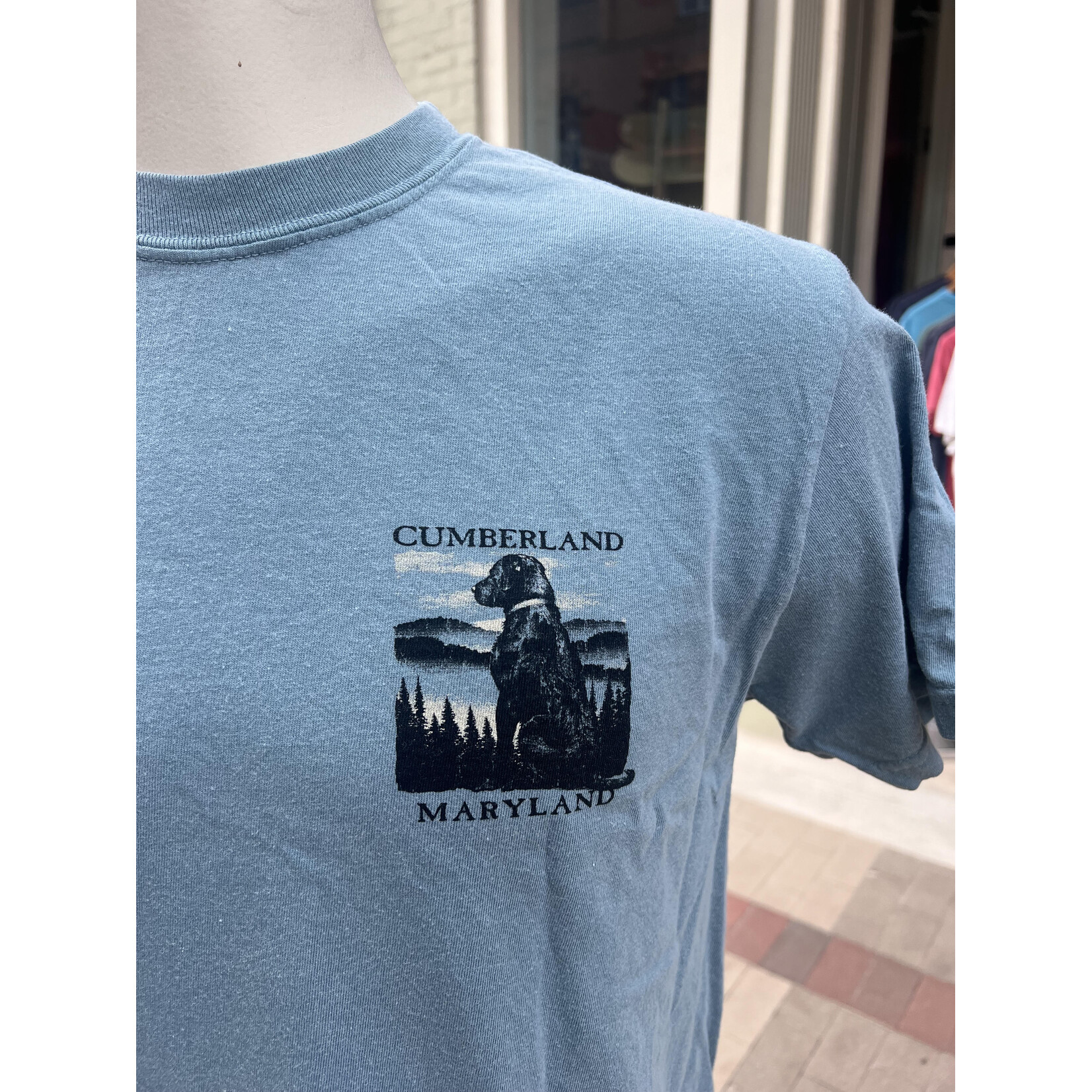 High Range/Laid Back Cumberland, MD - S/S Tee - Dog - Mountains