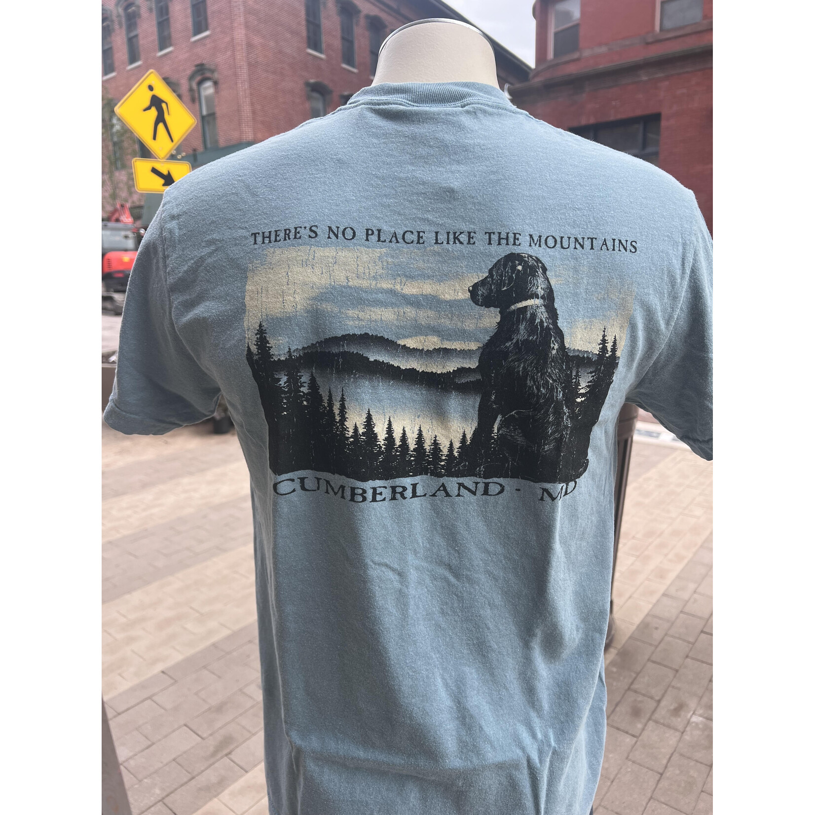 High Range/Laid Back Cumberland, MD - S/S Tee - Dog - Mountains