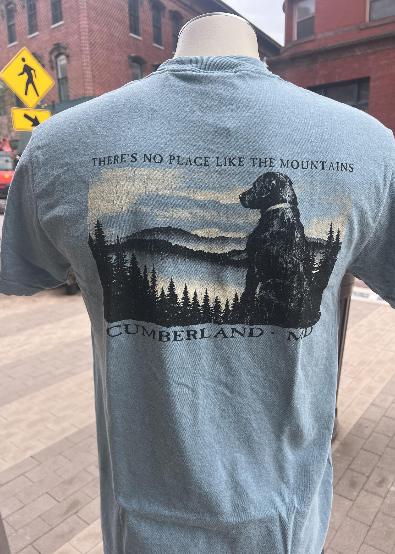 Laid Back Cumberland, MD - S/S Tee - Dog - Mountains