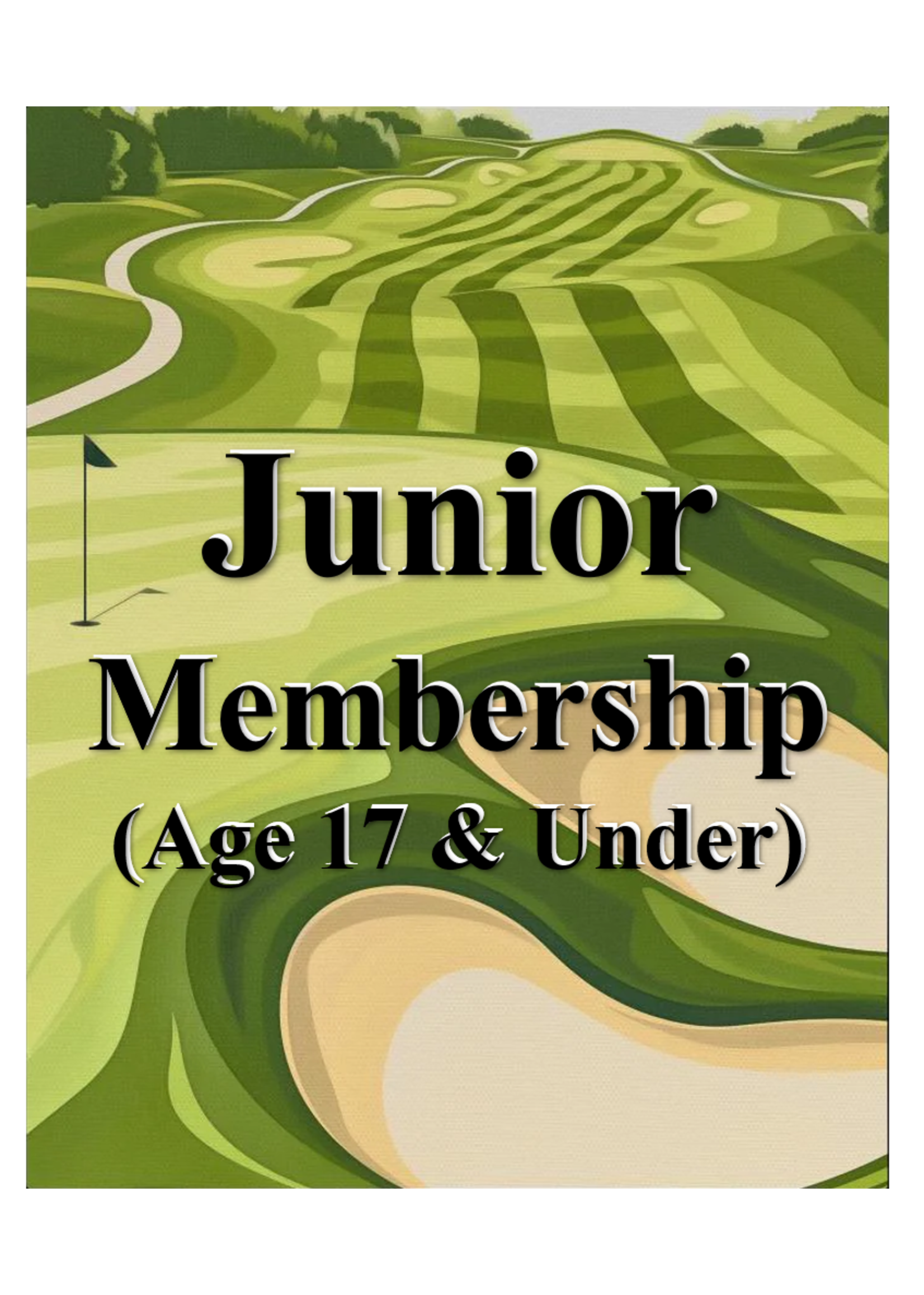 Junior Member (Age 17 & Under)