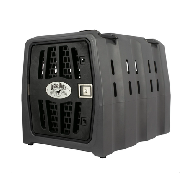 Lucky Duck Lucky Kennel Intermediate