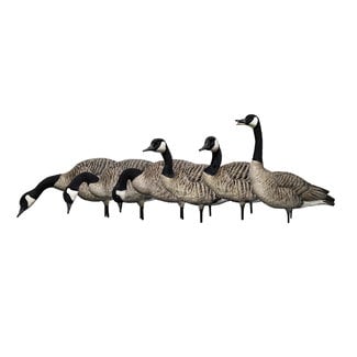 Avian-X Avian-X AXP Fusion Honker Pack