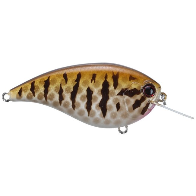 Daiwa Evergreen Flat Force Crankbait