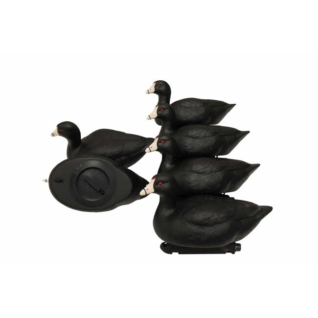 MOJO Coot Confidence Decoy (6 pack)