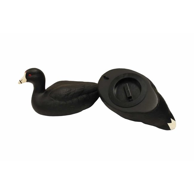 MOJO Coot Confidence Decoy (6 pack)