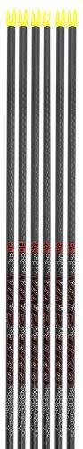 Victory VAP TKO Gamer 6 Pack Arrows 350