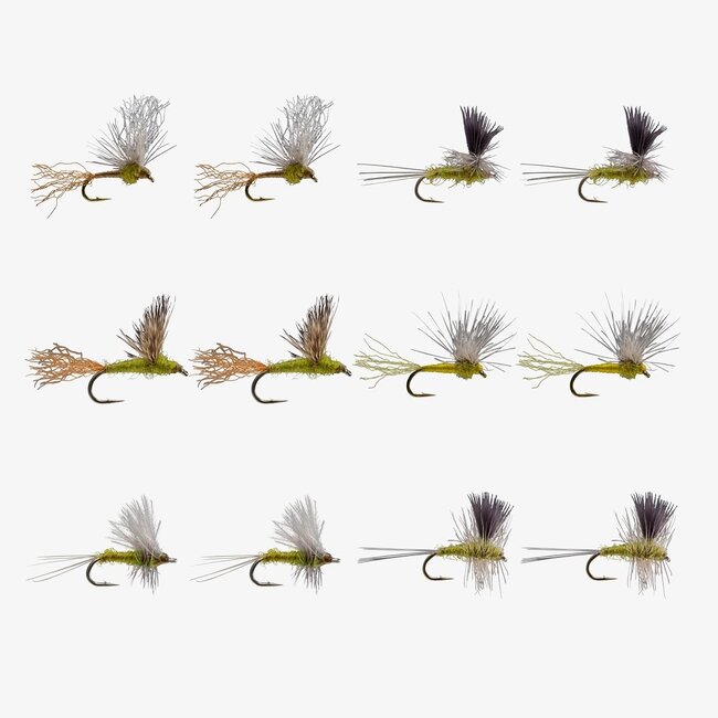 Rio BWO Dry Assortment