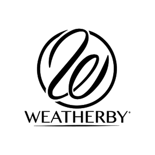 Weatherby 270 WBY 130 Gr Interlock