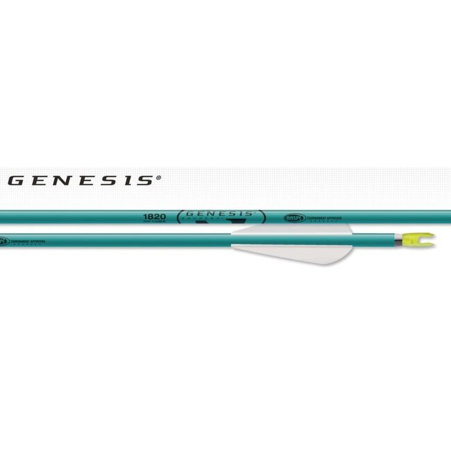 Easton Genesis Arrows