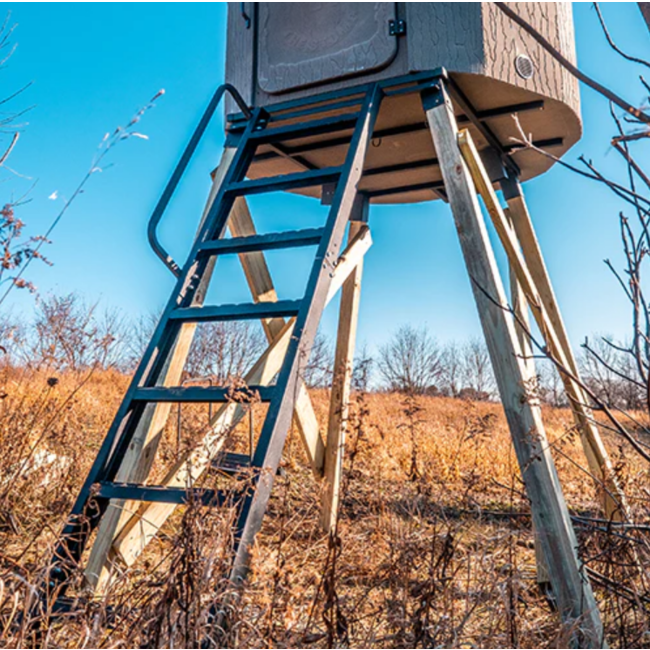 Banks Outdoors Ladder