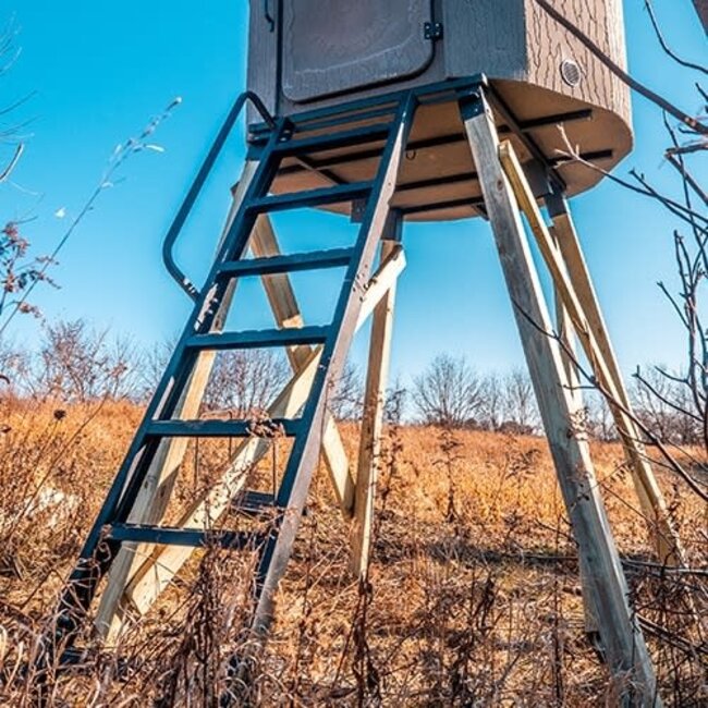 Banks Outdoors Ladder