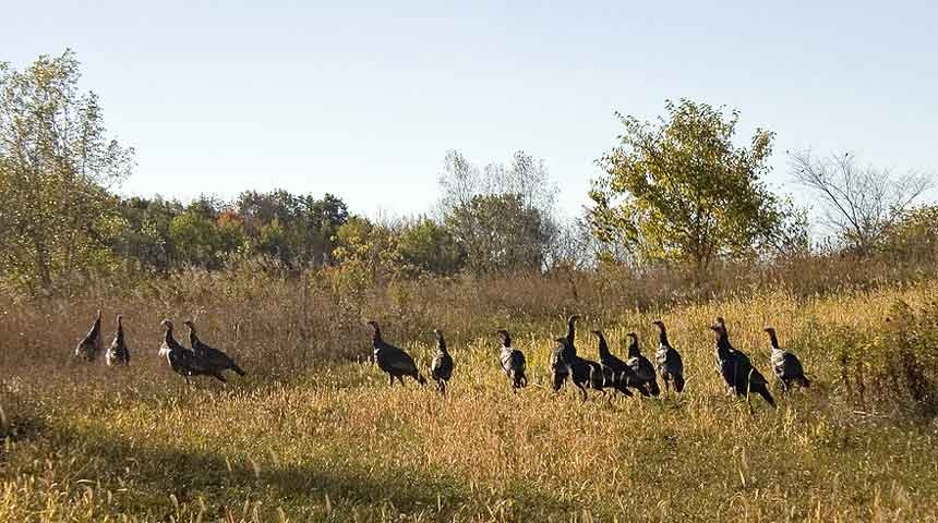 Essential Hunting Gear for Beginners