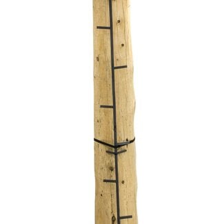 Rivers Edge Treestands Rivers Edge 20 FT connected Stick