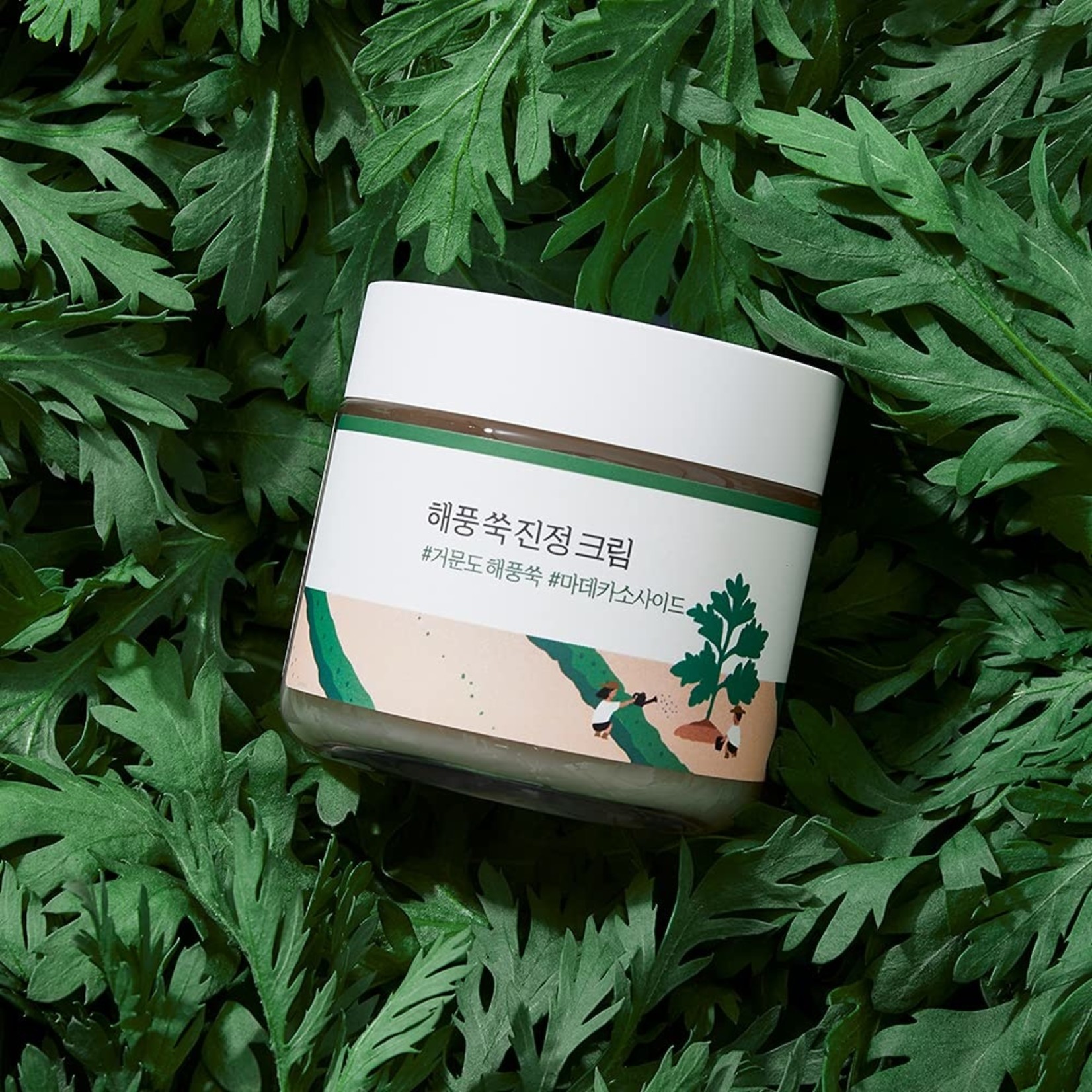 Round Lab Mugwort Calming Cream 80mL