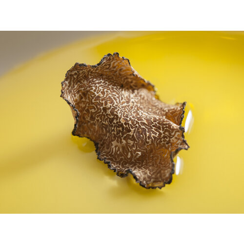 d'Alba White Truffle Royal Intensive Serum 60mL d'Alba White Truffle Royal Intensive Serum 60mL