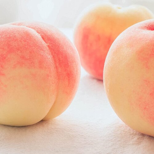 SKINFOOD Peach Cotton Pore Blur Pact 4g