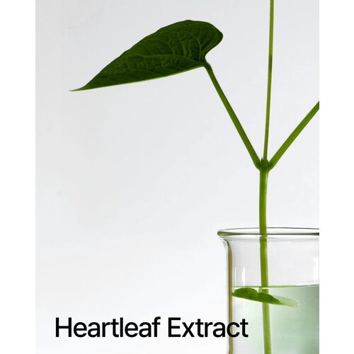 ANUA Heartleaf Pore Control Cleansing Oil 200mL
