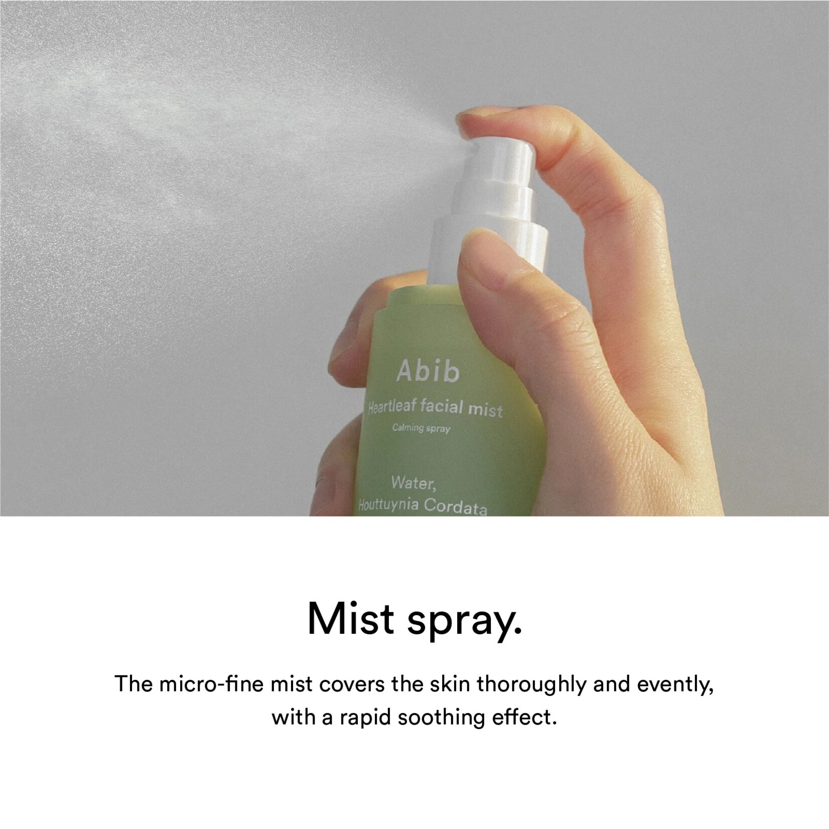 Abib Heartleaf Facial Mist Calming Spray Set (150mL+150mL)