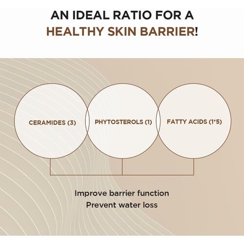 SKIN1004 Madagascar Centella Probio-Cica Intensive Ampoule 50mL SKIN1004 Madagascar Centella Probio-Cica Intensive Ampoule 50mL