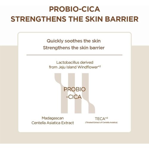 SKIN1004 Madagascar Centella Probio-Cica Enrich Cream 50mL SKIN1004 Madagascar Centella Probio-Cica Enrich Cream 50mL