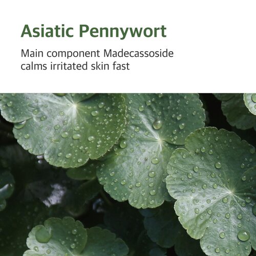 Round Lab Mugwort Calming Mask 25mL*10p Round Lab Mugwort Calming Mask 25mL*10p