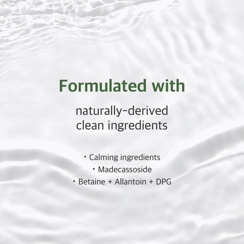 Round Lab Mugwort Calming Mask 25mL 1p Round Lab Mugwort Calming Mask 25mL 1p